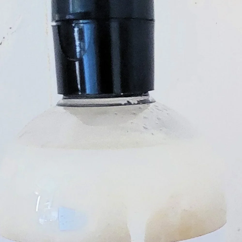 BlueFeather Lavender Oatmeal 2 In 1 Dog Shampoo And Conditioner a set of two $14